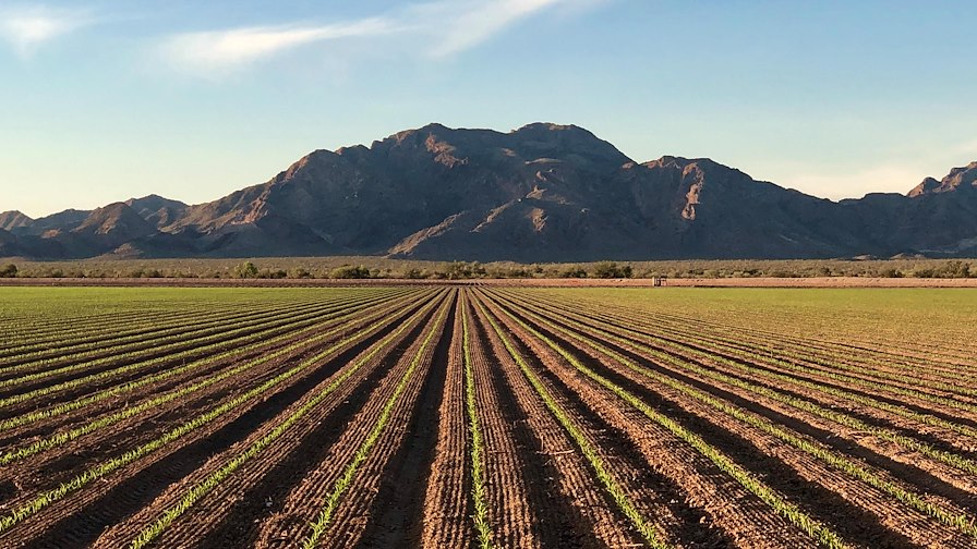 Salome Net Leased Agricultural Land/Salome, Arizona