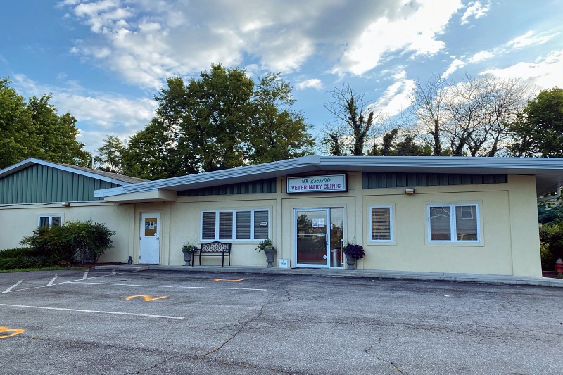 26 S Greenway Ave, Boyce, VA 22620