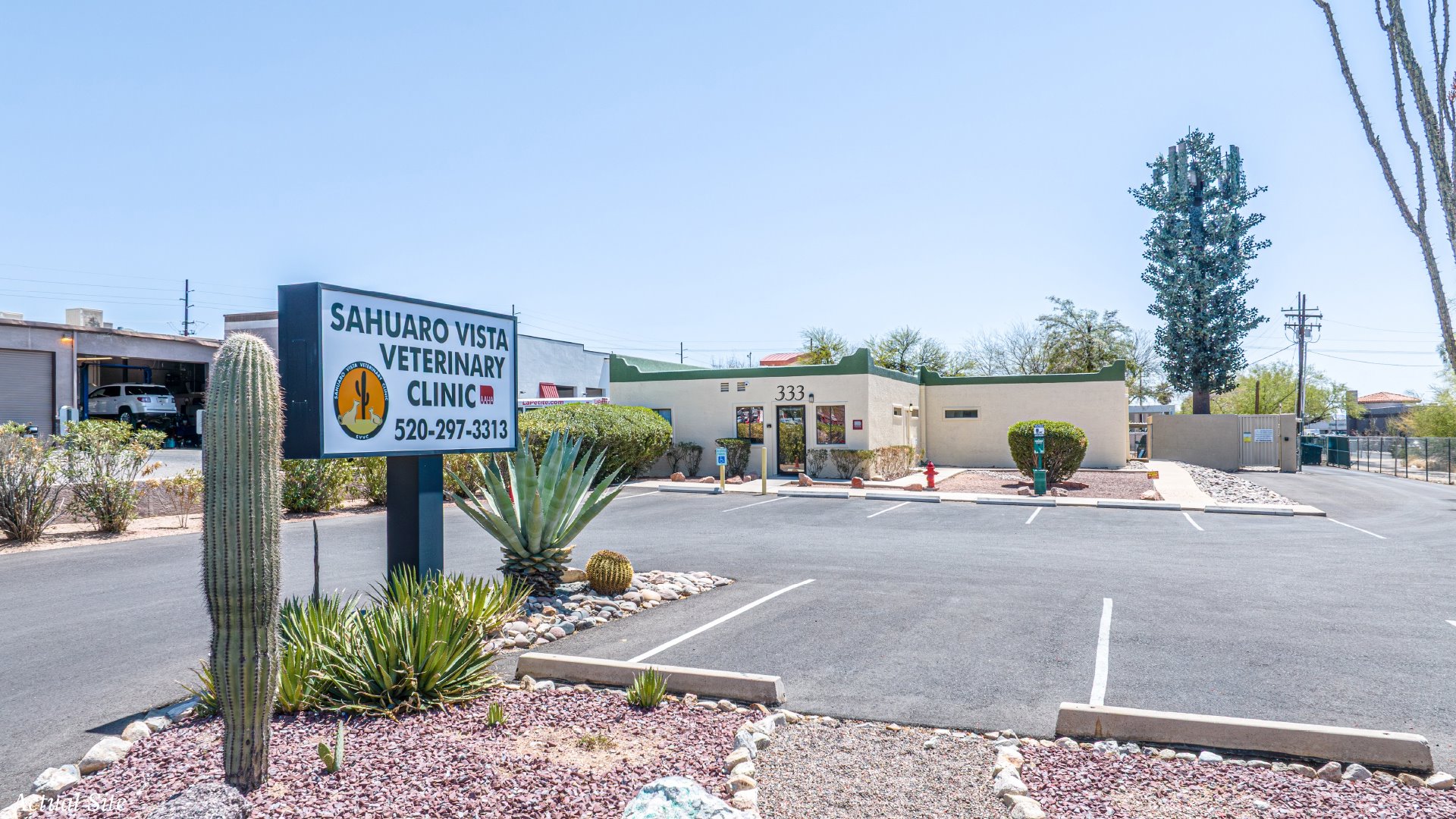 National Veterinary Associates Clinic - 1,500+ Sites… — Sale in Tucson, AZ, photo 4 of 7