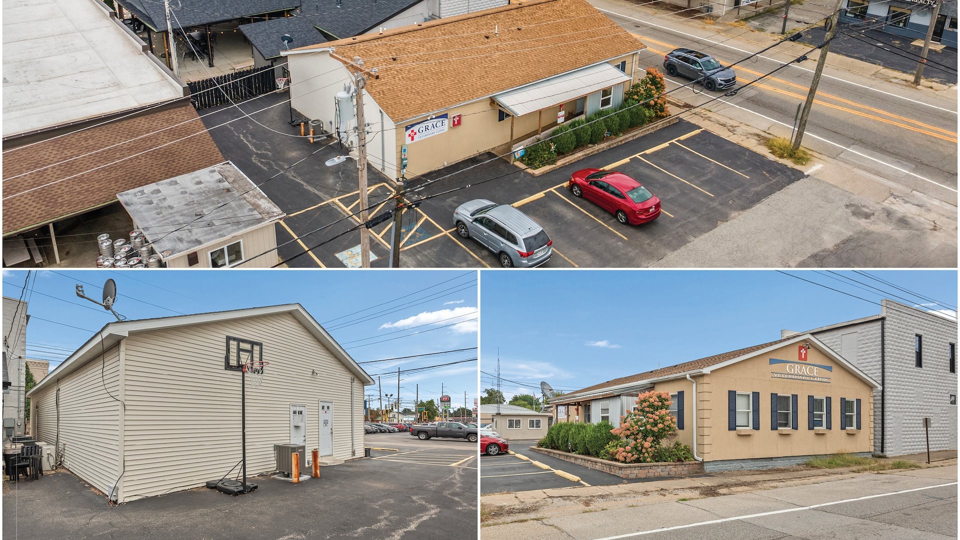 Thrive Pet Healthcare — Sale in Chatham, IL, photo 2 of 4