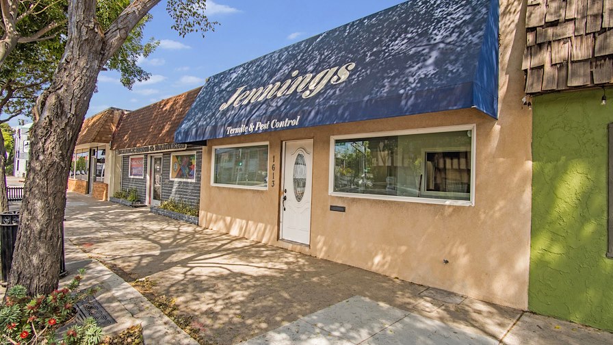 Display Main