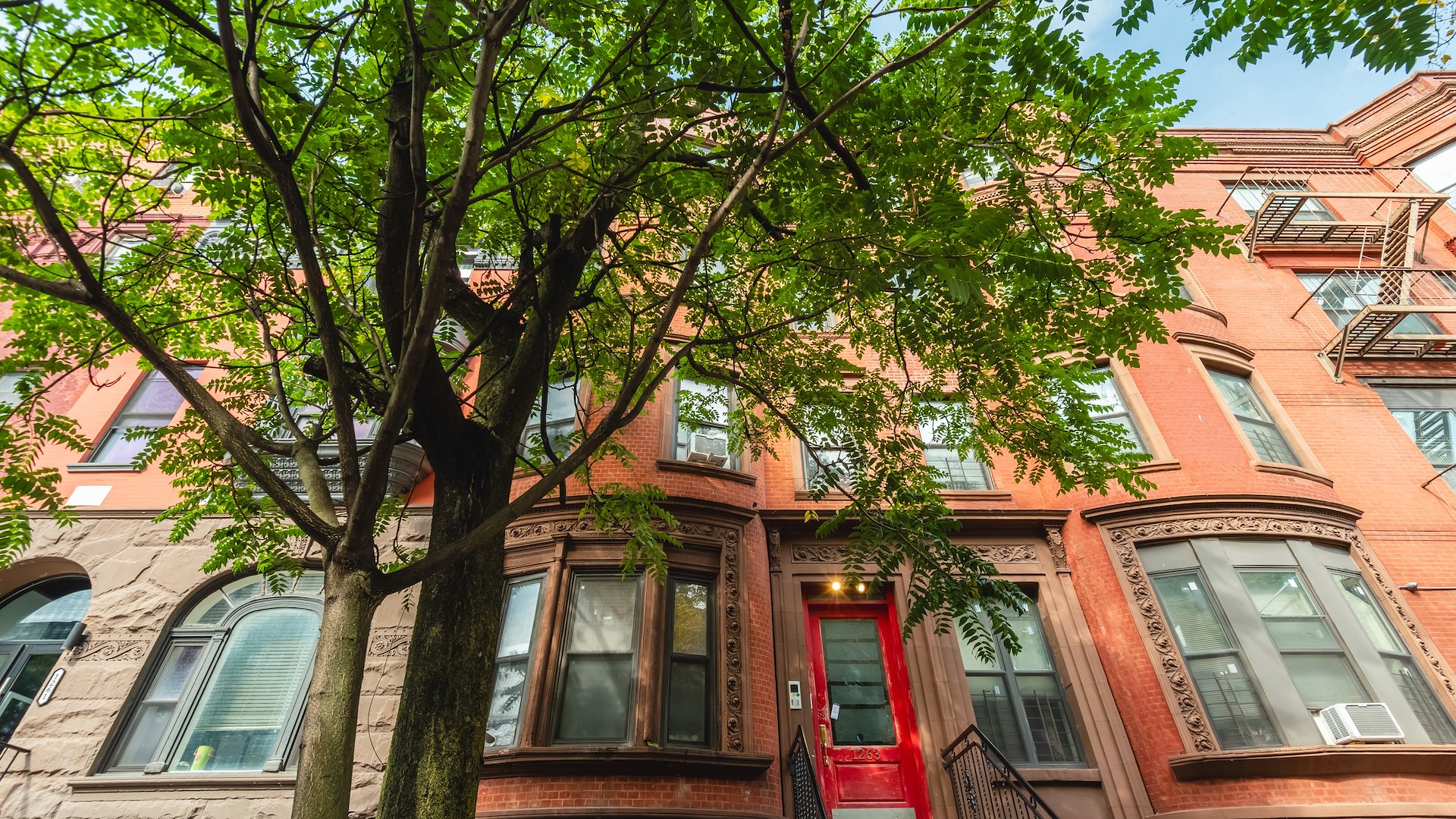1263 Pacific Street — Sale in Brooklyn, NY, photo 3 of 3