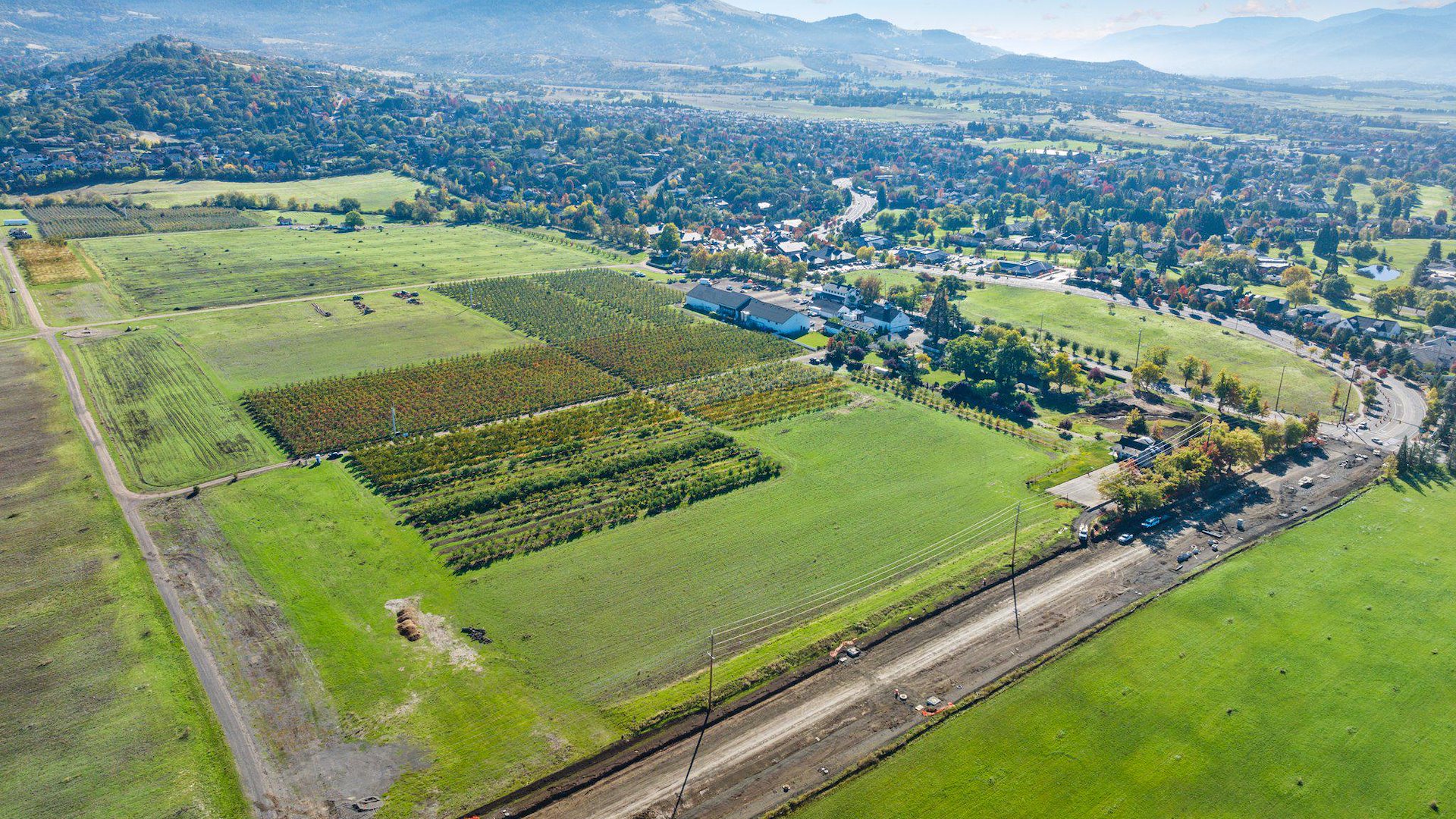 Hillcrest District Commercial Development/Medford, Oregon