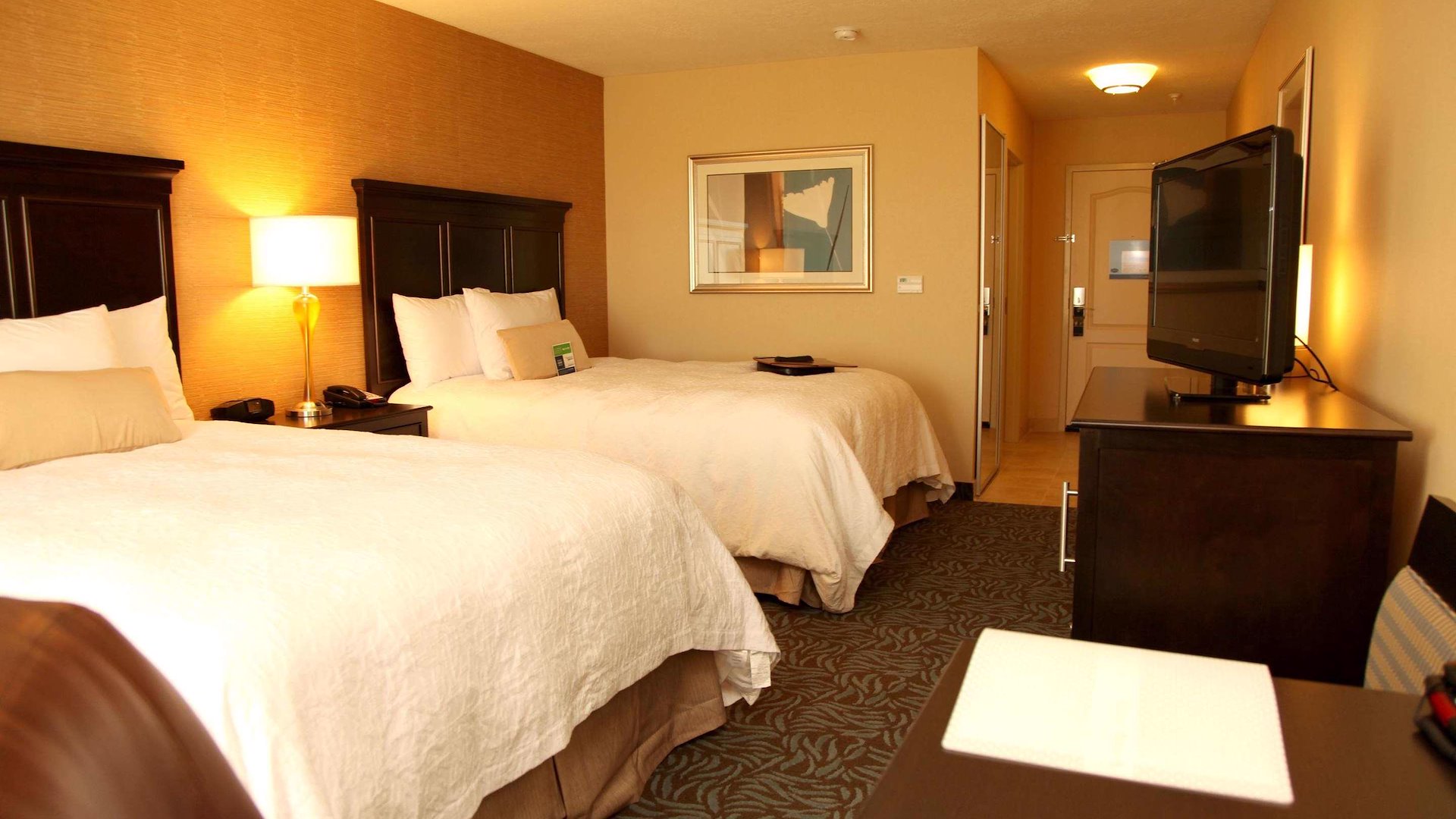 Hampton Inn & Suites Carlsbad/Carlsbad, New Mexico