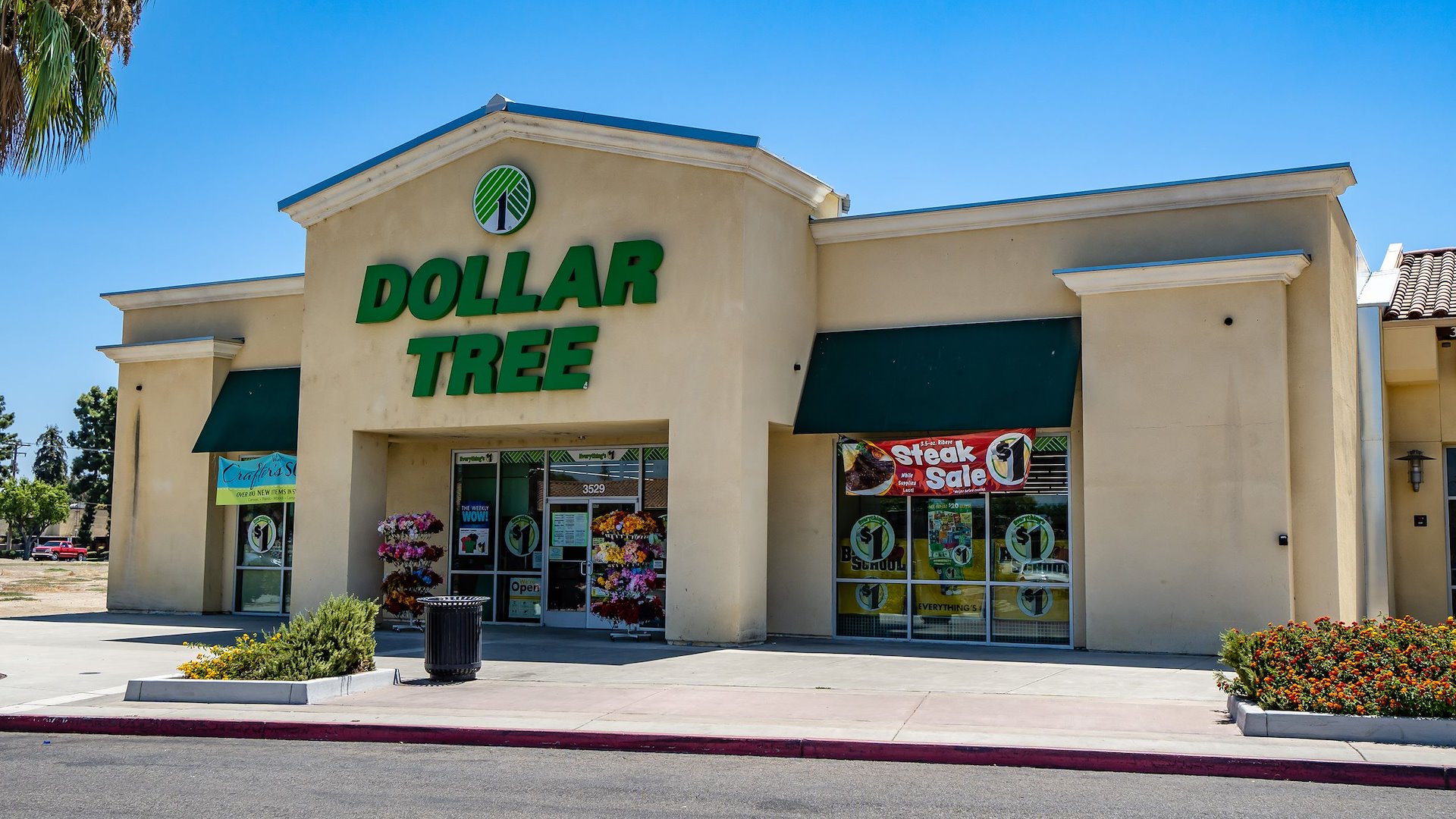 Dollar Tree/Visalia, California