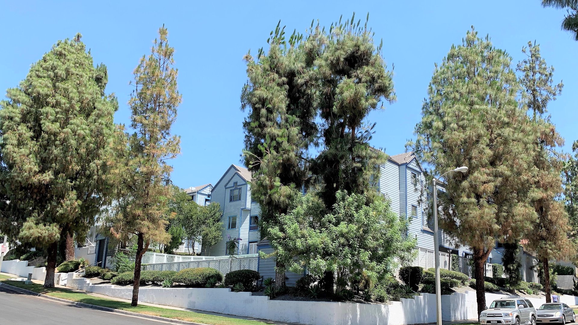 Canyon Cove Apartments/Riverside, California