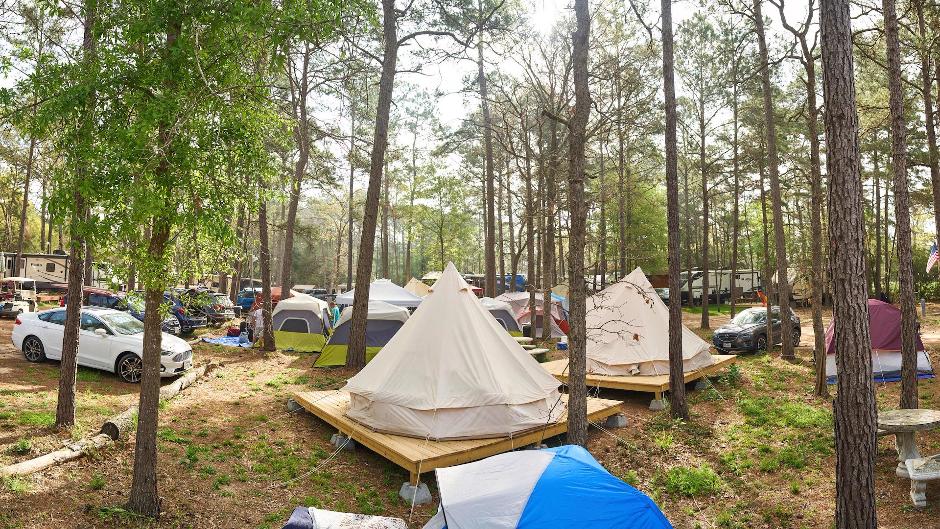 Grizzly Pines RV Park/Navasota, Texas